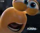 Turbo yüzü